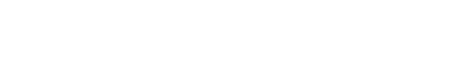 Recruitment, selection, Tehnika TEMP